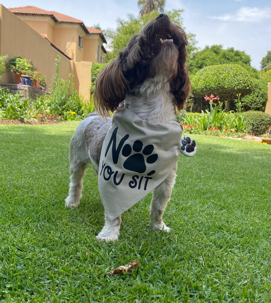 Pet Bandanas - Stand alone with snap closure for cats or dogs