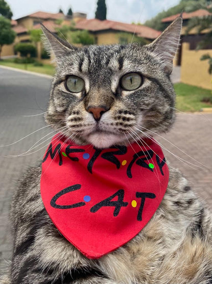 Pet Bandanas - Fits onto collar for cats or dogs