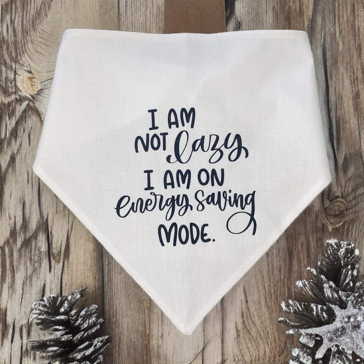 Pet Bandanas - Fits onto collar for cats or dogs